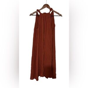 Woman’s Cupio Dress in Brick